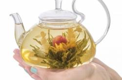 Blooming Tea By Flower Pot Tea Company Blooming Flower