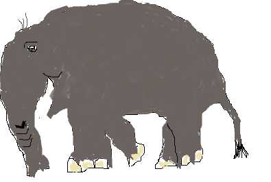 Blowing Dandelions  -  Short Stories For Kids