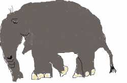 blowing dandelions  -  short stories for kids