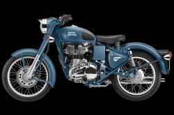 Blue Bull in the house