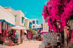 Blue cities in the world