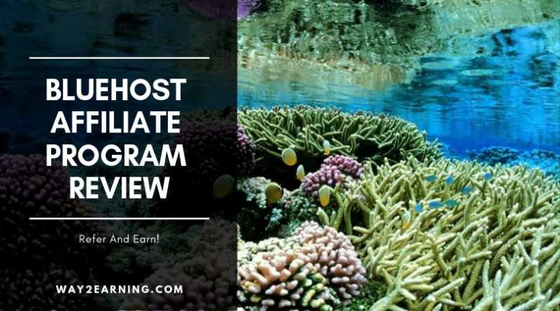 Bluehost Affiliate Program Review : Refer And Earn