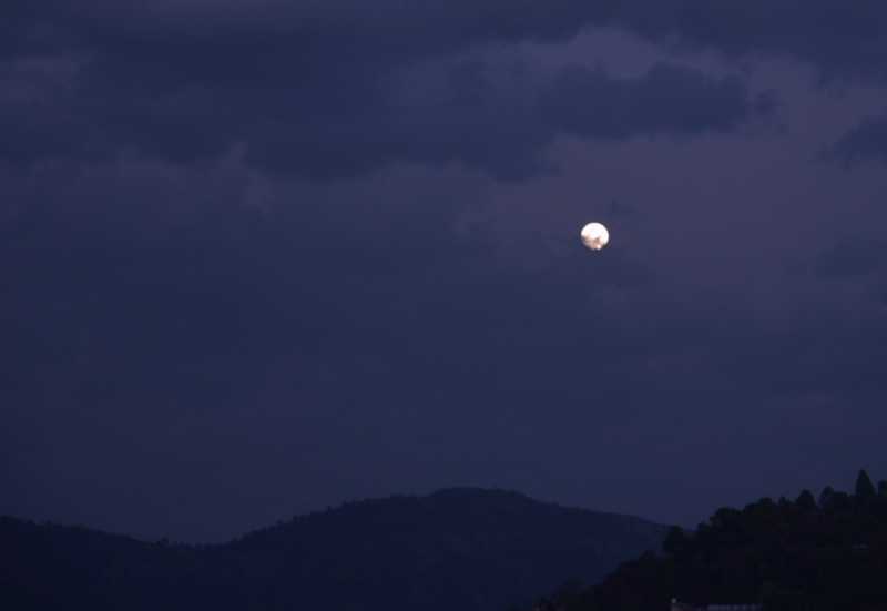 Body #AtoZchallenge ~ Kalpanaawrites Body/poetry/kalpanaawrites