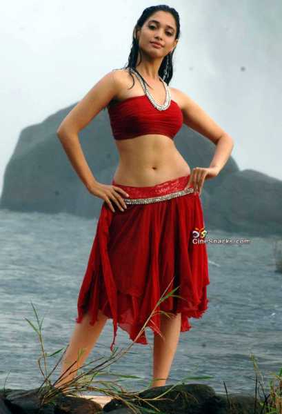 Bollywood Actress Tamana Sexy Navel Pictures