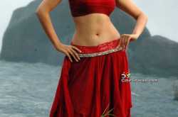 Bollywood Actress Tamana sexy navel pictures
