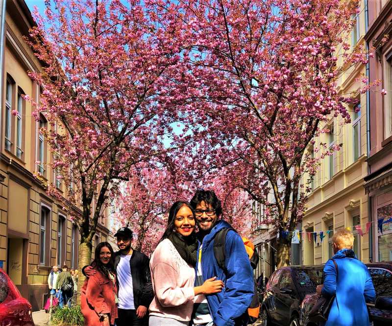 Bonn Cherry Blossoms Blog: Photos, Dates, & Addresses