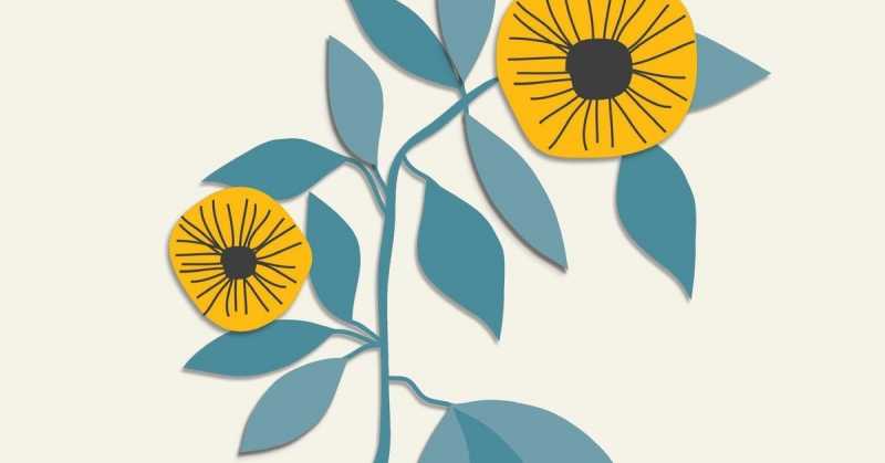 Book Review #114 : The Sun And Her Flowers