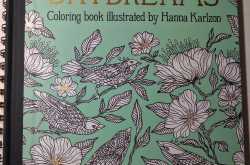 Book Review: DagdrÃ¶mmar aka Daydreams