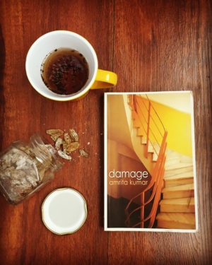 Book Review: Damage By Amrita Kumar - Shabd Studio