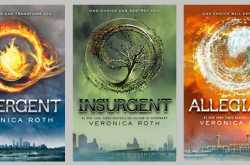 Book Review - Divergent Series