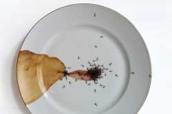 Book Review: Ghachar Ghochar