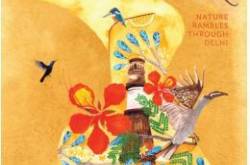 Book Review: Grey Hornbills at Dusk