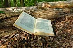 Book Review - Healthy Eating For Busy Moms - Sun-Sea-Soil-Sky