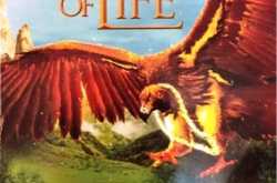 Book Review - Ramayana - The Game of Life : Stolen Hope