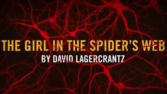 Book Review: The Girl In The Spider