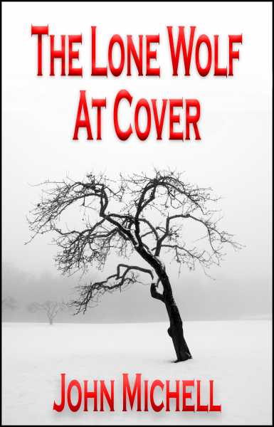 Book Review - The Lone Wolf At Cover By John Michell | Merry Brains