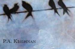 Book Review: The Muddy River