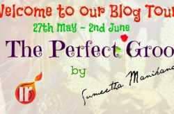 Book Review : The Perfect Groom by Sumeetha Manikandan