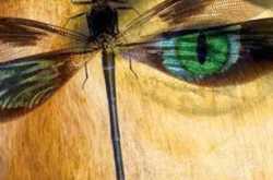 Book Review: The Persecution of Madhav Tripathi by Aditya Sudarshan