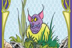 Book Review : The Piraroo by Marko Kitti