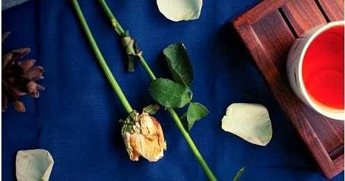 Book Review: The Reason Is You By Nikita Singh