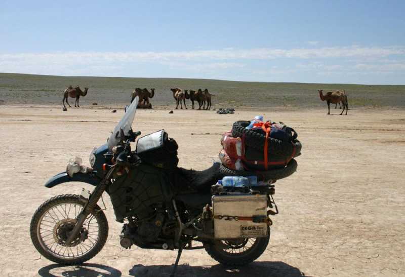 Book Review: In Search Of Greener Grass By Graham Field - Kalsh