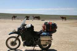 Book review: In search of greener grass by Graham Field - kalsh