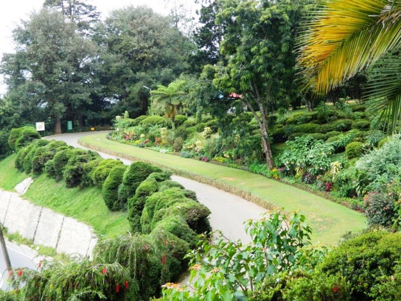 Botanical Garden At Nuwara Eliya, Sri Lanka