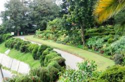 Botanical Garden at Nuwara Eliya, Sri Lanka