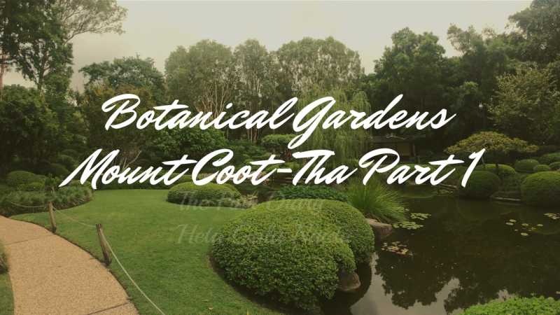 Botanical Gardens-Mount Coot-tha