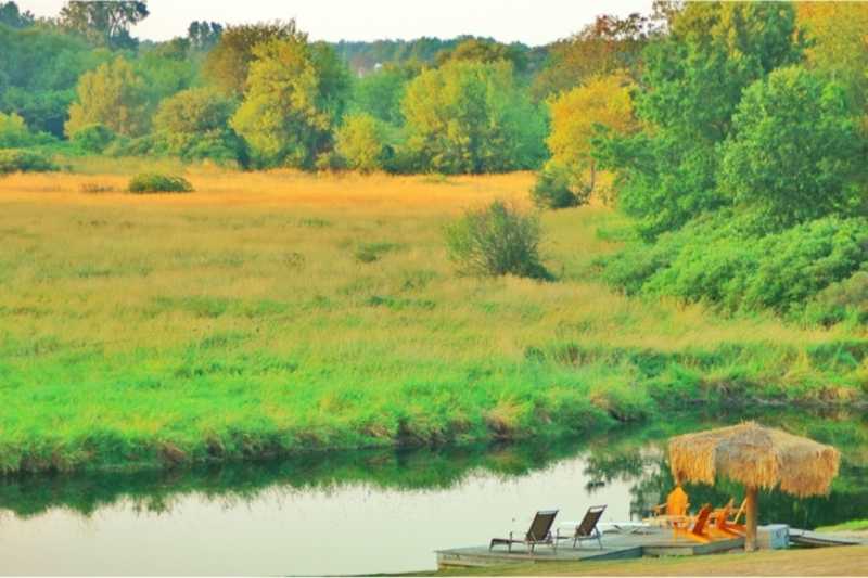 Boutique Hotels In Ann Arbor | The Satori Saga