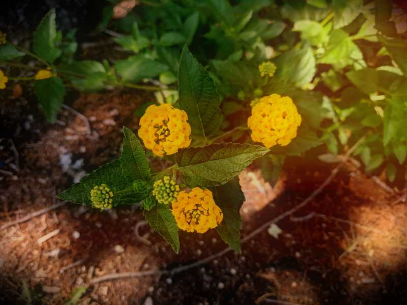 Brighten Your Day - Left, Write, Left...