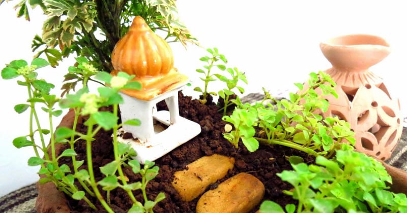 Bring On The Summer Once Again!