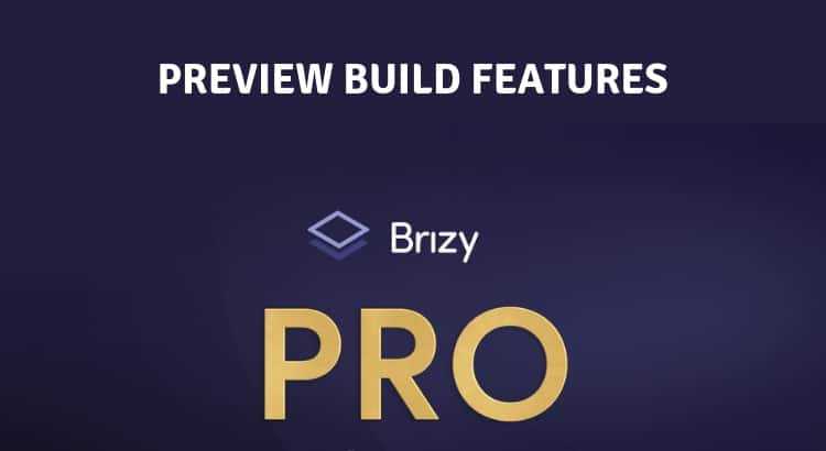 Brizy Pro Preview Build Features