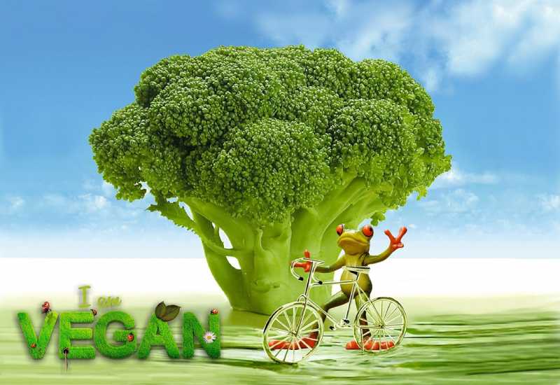 Broccoli : The Nutritional Powerhouse And Must For Good Health