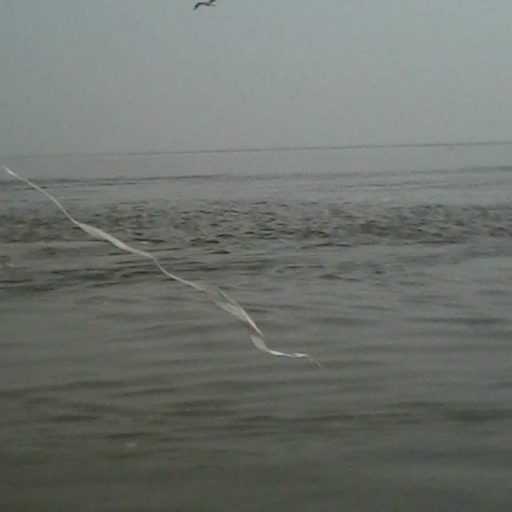 Broken Code - Dr Ashish Rastogi (Review)