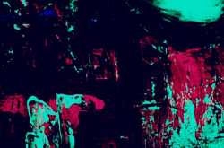 Broken nest - Short Story (7 mins read)