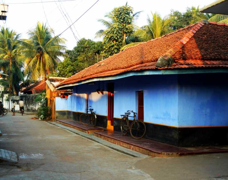 Browns And Greens - A Trip To The Village