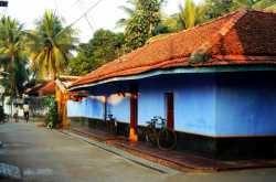 Browns and greens - A trip to the village