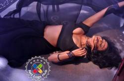 Bubbly Actress Asha Saini Hot Big Boobs Bulging Out of Blouse in a Transparent Black Saree