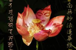 Buddha in the Lotus - Daimoku