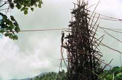 Bungee Jump in Nepal [With History, Price, and Locations]