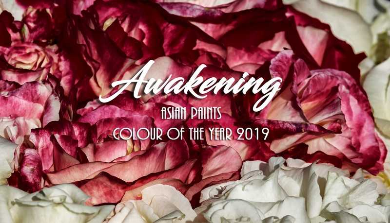 Burgundy Decor Inspired By Asian Paints COTY 2019 • One Brick At A Time