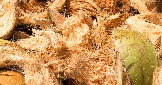 Business Avenues - Coir Industry