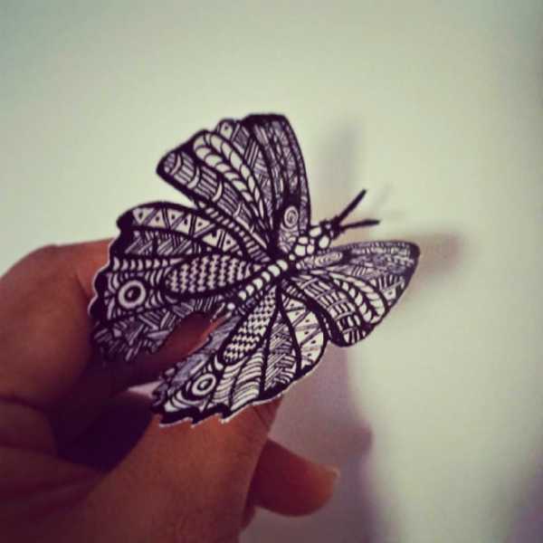 Butterfly In The Garden