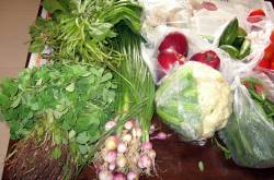 Buying Fresh Vegetables Online (in Pune, India): Greenofresh.com