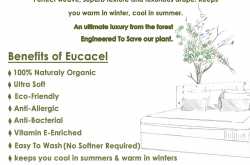 By Adab Home Decor - Indian Design Id