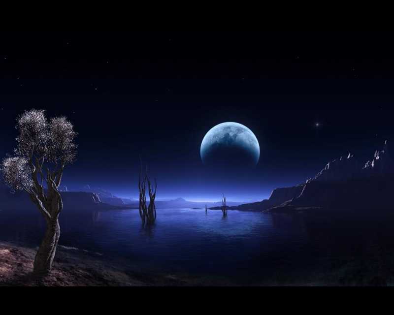 By Sticking  To The Gods, Which Are Not God In Truth, You Are Sticking  To The Illusion. Sticking Up To Illusion Means Sticking  To Ignorance.*****