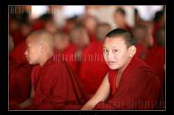 Bylakuppe Tibetan Settlement-Kushalnagar, Karnataka