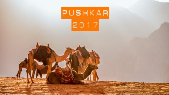 C.A.M.E.L. L.A.N.D (PUSHKAR) - From Our Eyes